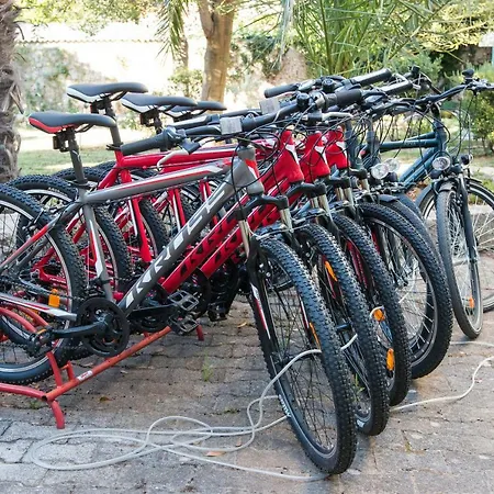 Bigblue House Apartament *