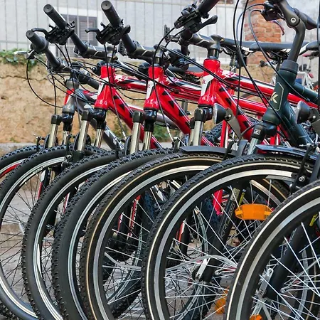 Bigblue House Daire Veli Lošinj