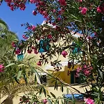 דירה Bigblue House